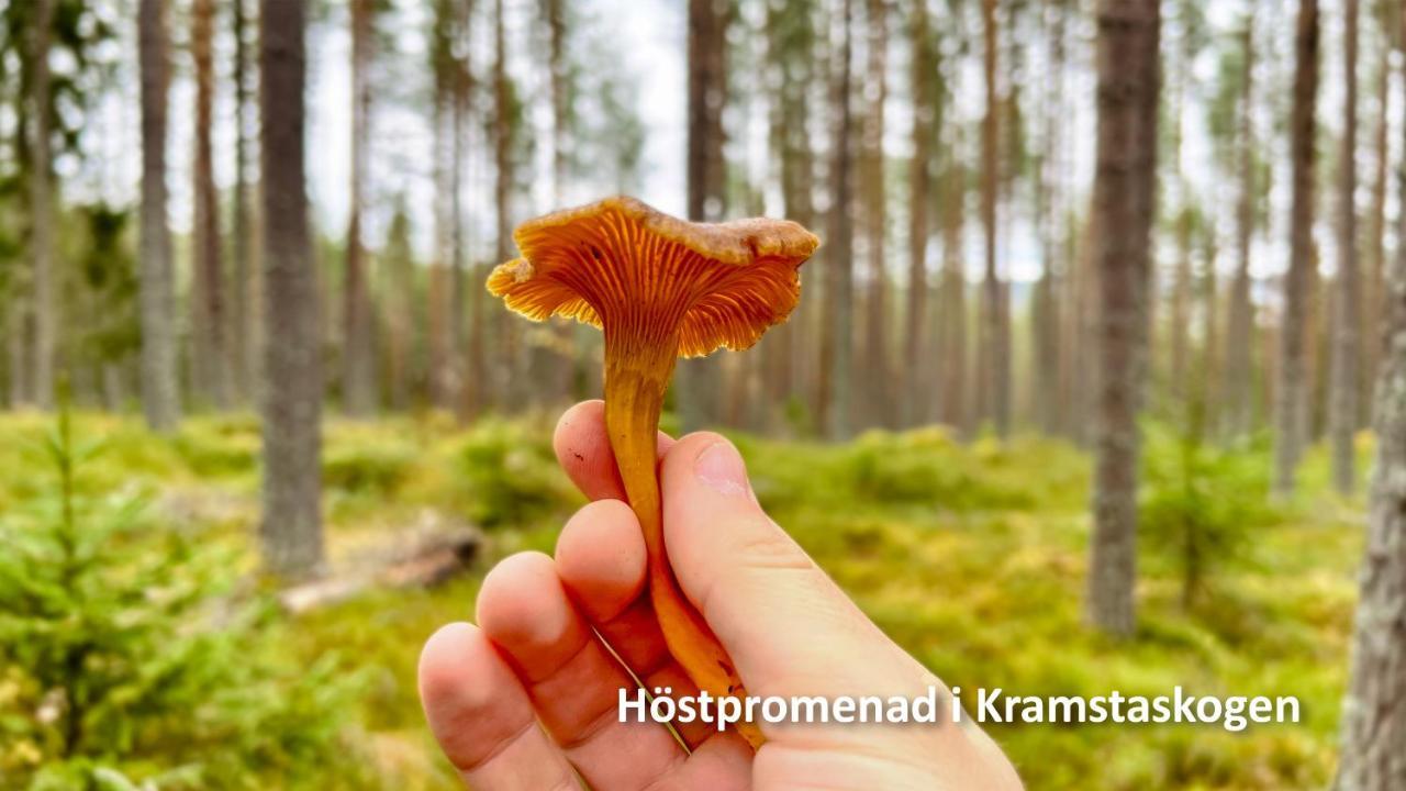 Nyrenoverat Boende I Vackra Jarvso Luaran gambar